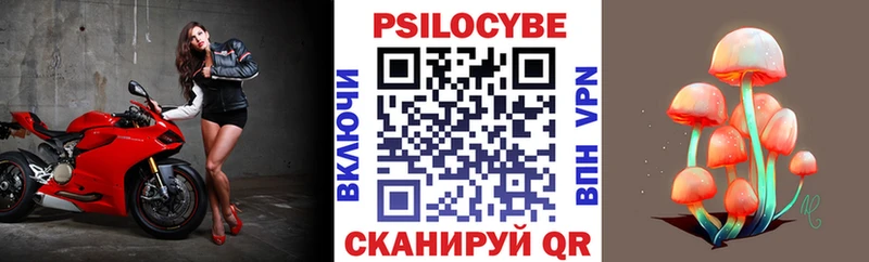 Псилоцибиновые грибы Psilocybe  дарнет шоп  Бор 